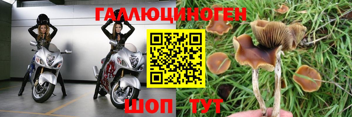 Галлюциногенные грибы GOLDEN TEACHER  Галлюциногенные грибы мухоморы  Коркино  Вход с VPN 